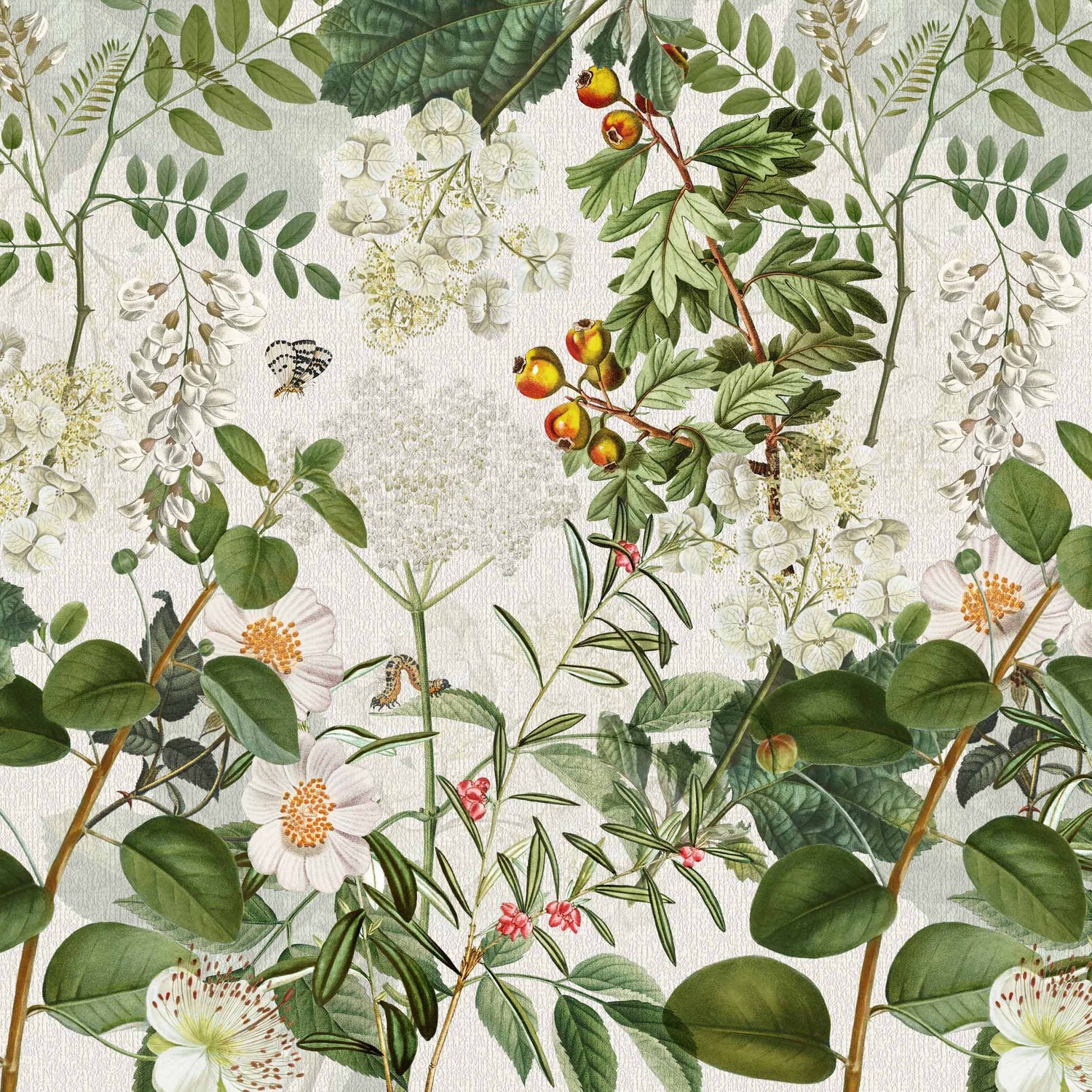 Botanical